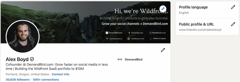 LinkedIn profile page showing the Edit public profile and URL link in the top right panel