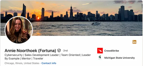 Anna's LinkedIn headline for sales development leader: not hiding sales but adding personality