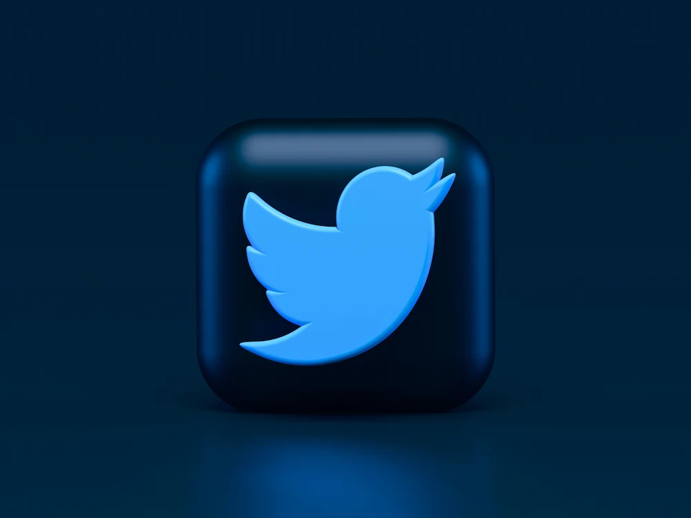 Twitter bird logo 3D icon